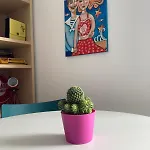 Appartement Casa Boccardi *